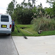 Picture 004